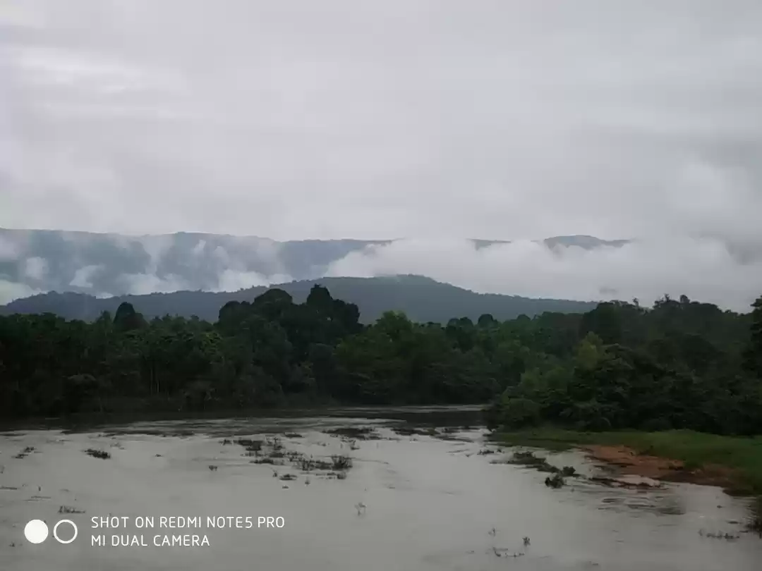 Photo of Agumbe: Monsoon in t