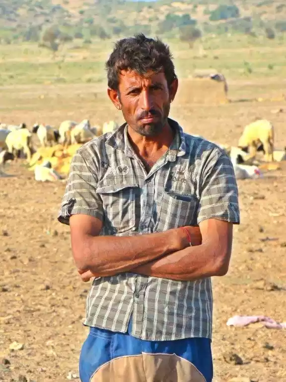 Photo of Sand Dunes : Photo t