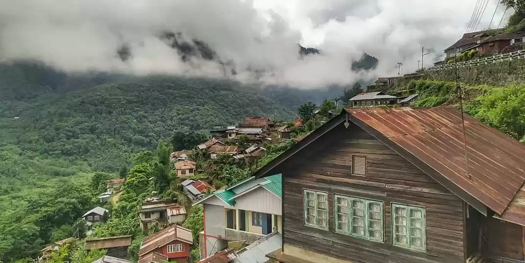 Photo of Exploring Asia's Fir