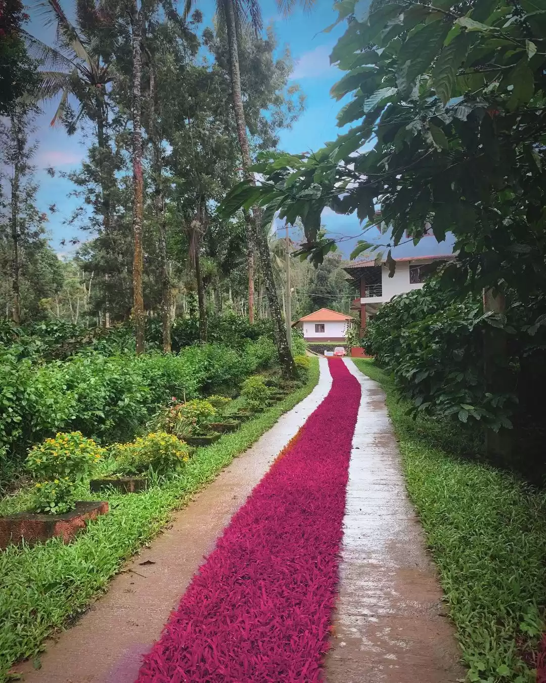 Photo of Retreat Monsoon | Pr