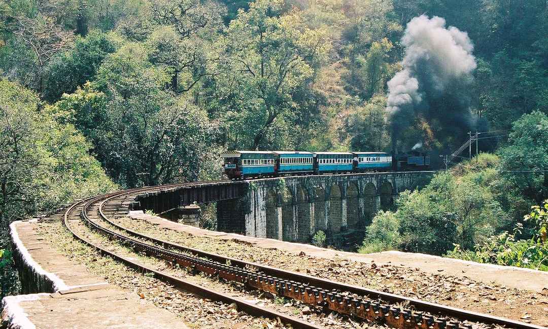 Indian railway pet transport sales