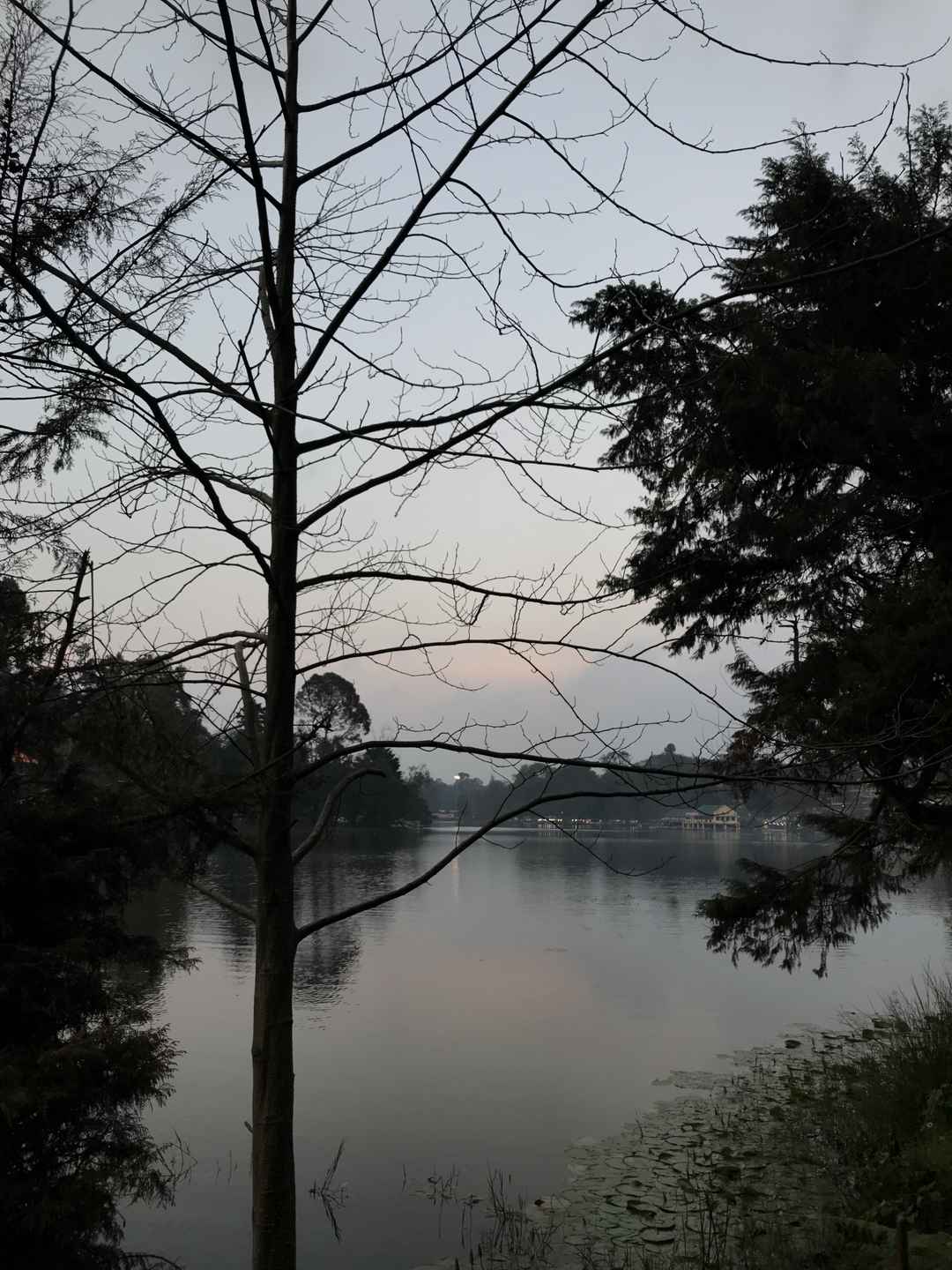 Photo of Enjoy A Quiet & Relaxed Long Weekend At Kodai Kanal in Tamil Nadu, India. 