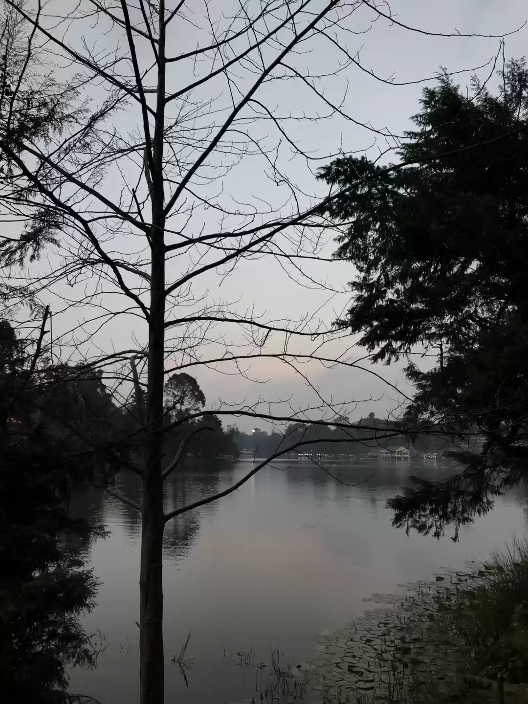 Photo of Enjoy A Quiet & Rela