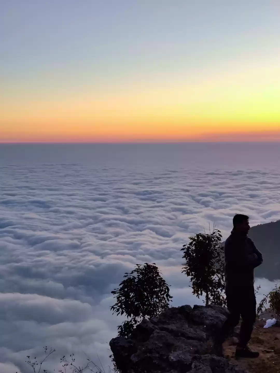 Photo of What is the winter l