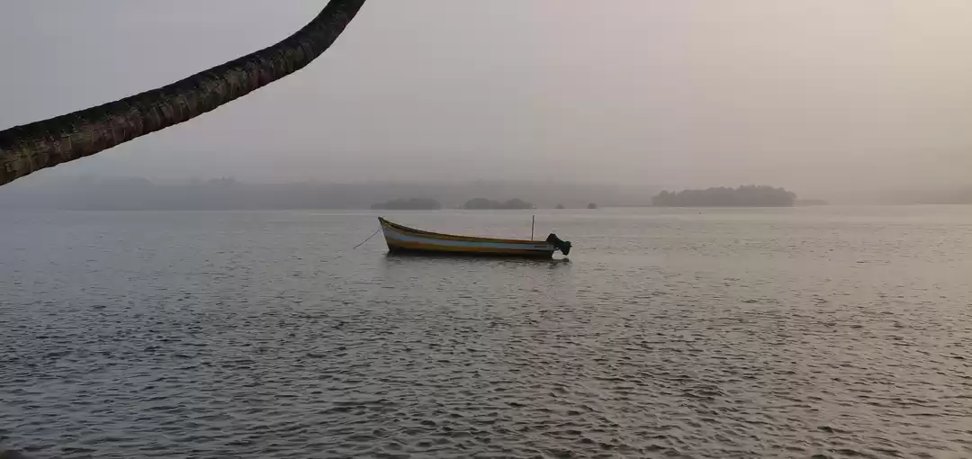 Photo of Untouched...Unexplor