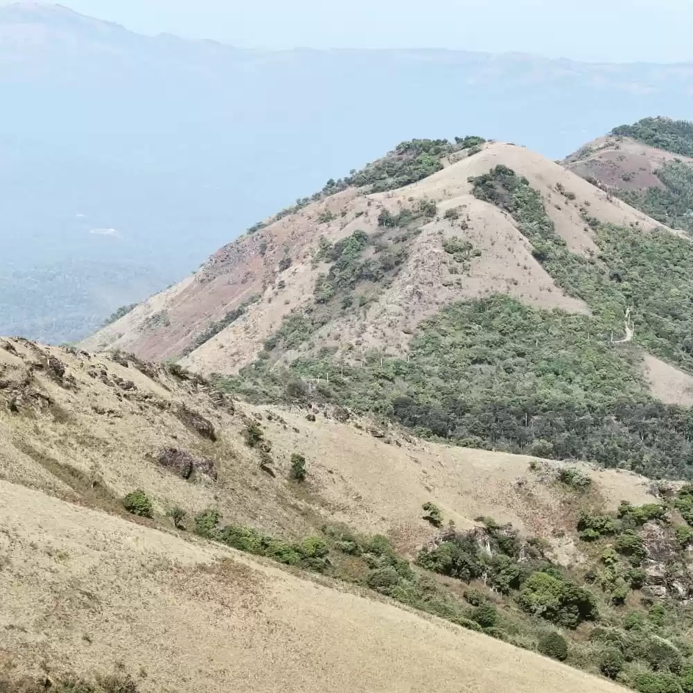 Photo of Hornadu,Sringeri,Chi