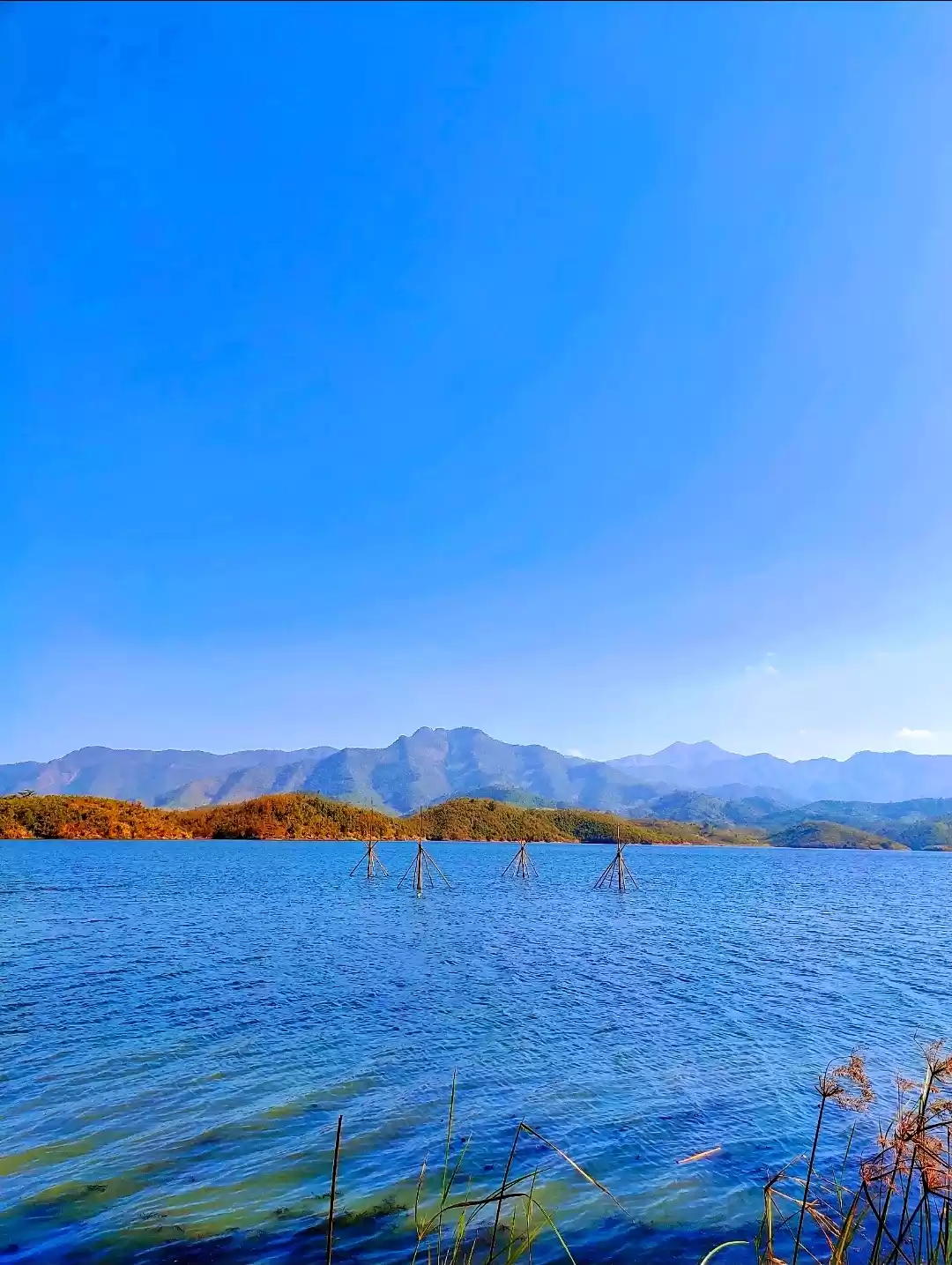 Photo of A visit to the exoti