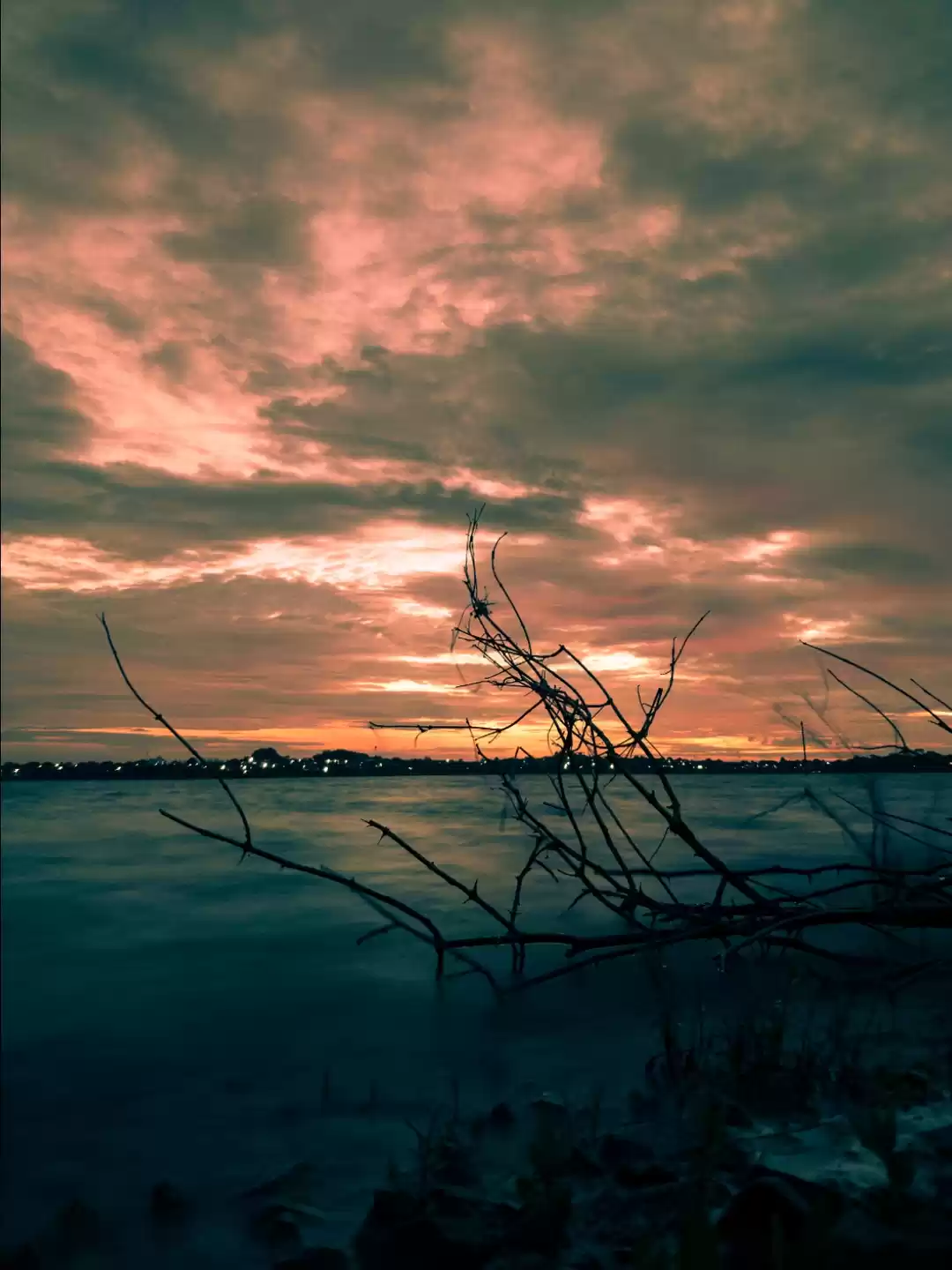 Photo of Hidden Beauty Of Bha