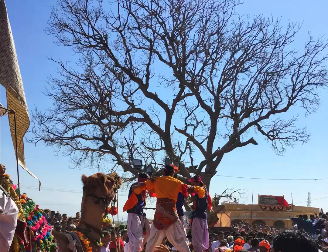 Photo of Rajasthan #MyKindaCi
