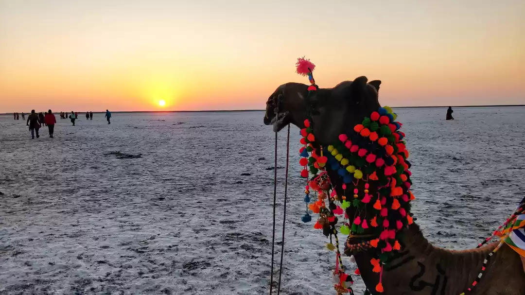 Photo of Kutch nai dekha toh
