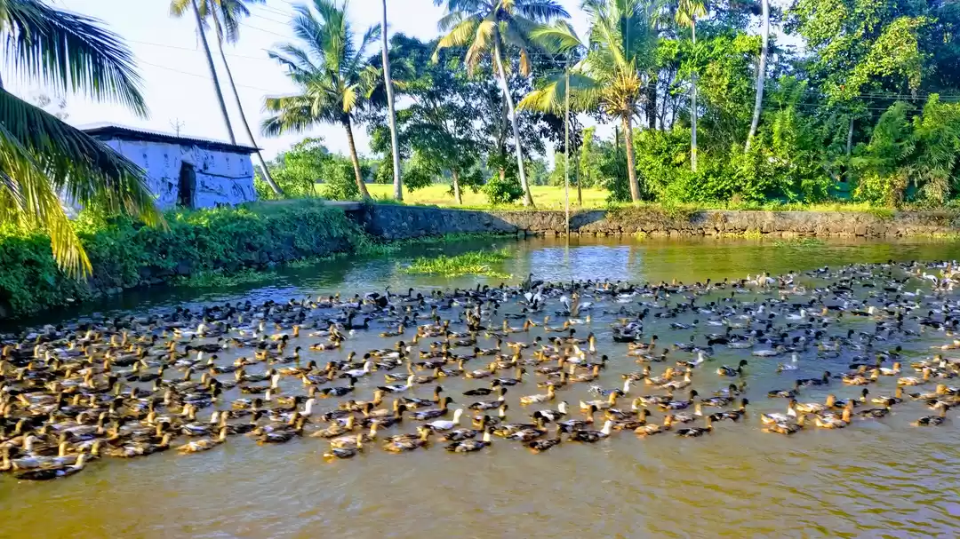 Photo of WordPress.com