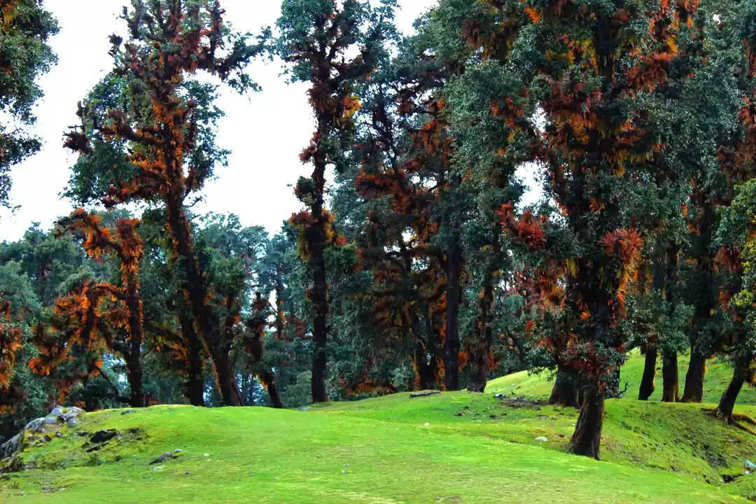 Photo of Tunganath - Shiva's 