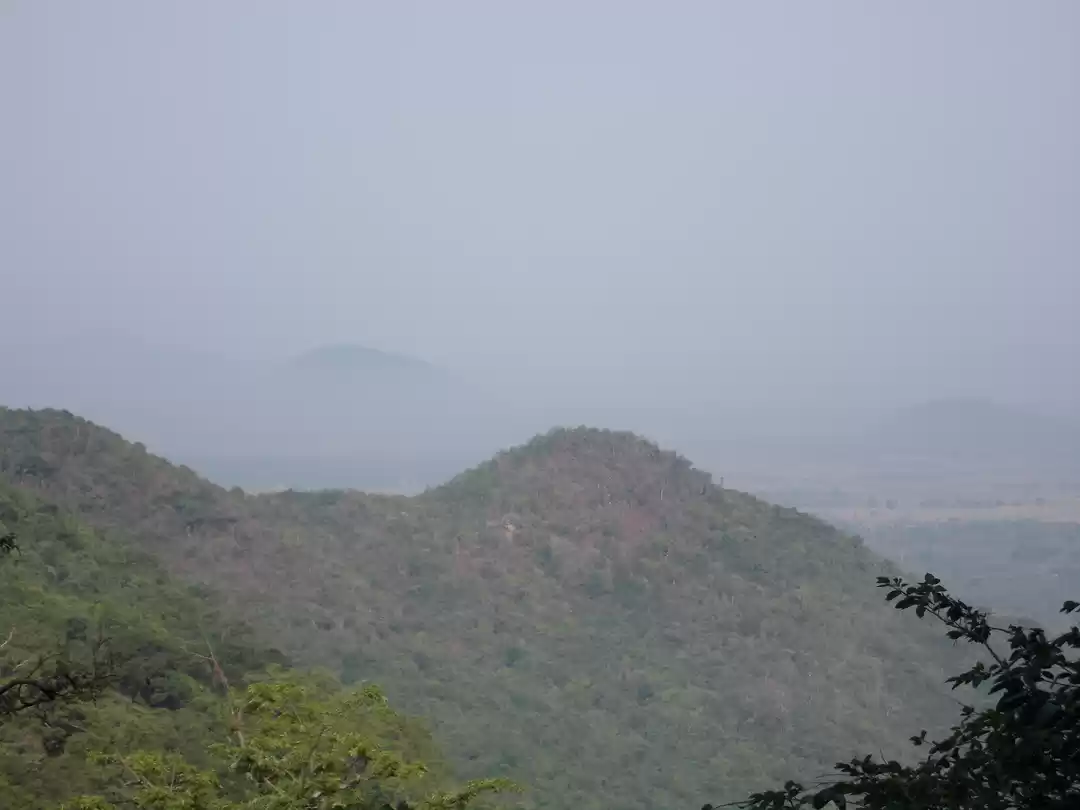 Photo of Small trip to a litt