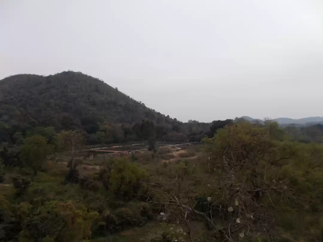 Photo of Biking around some l