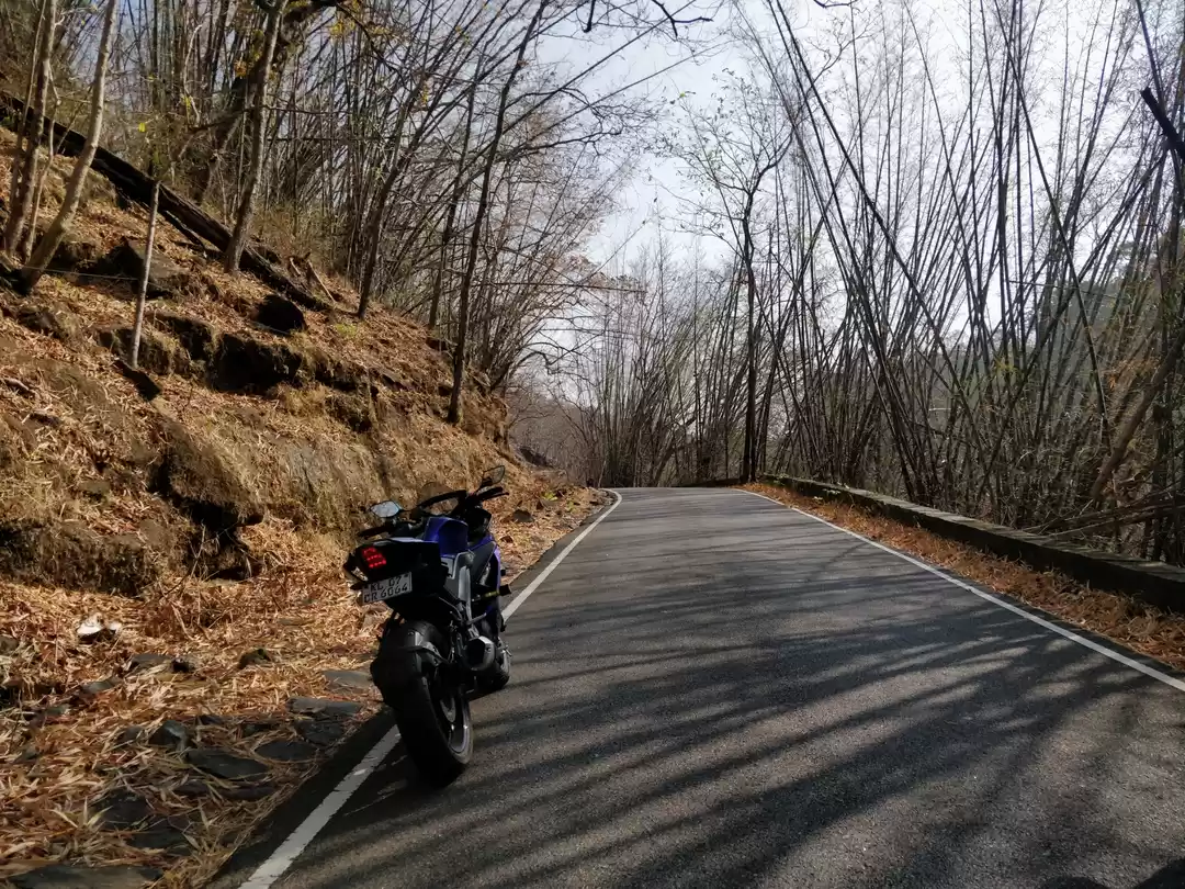 Photo of Valparai, a quick ri