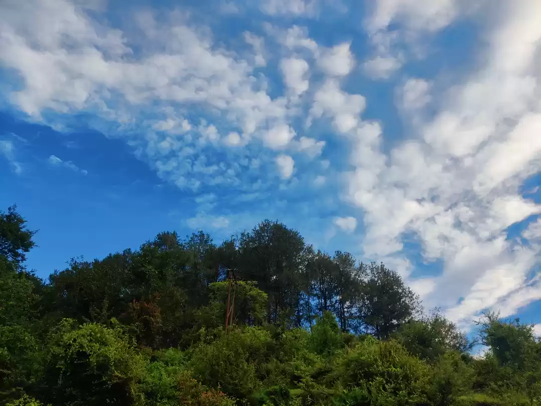 Photo of Chaukodi : An invita