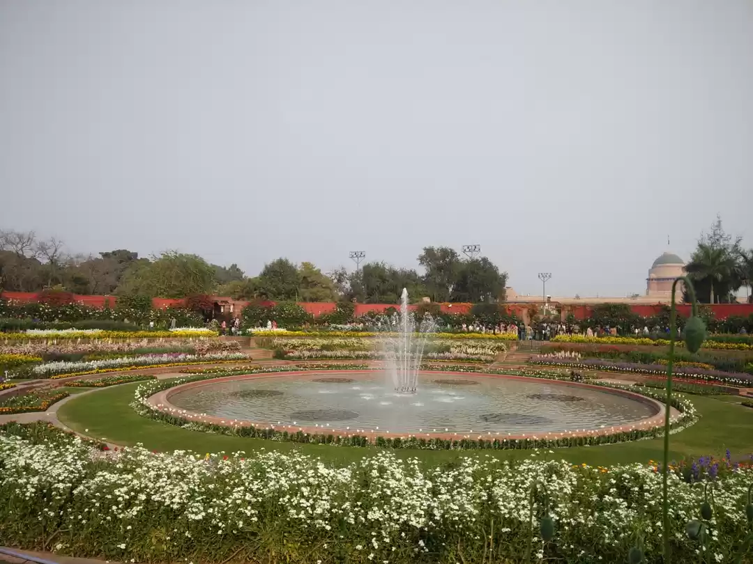 Photo of Dream came true: Mug