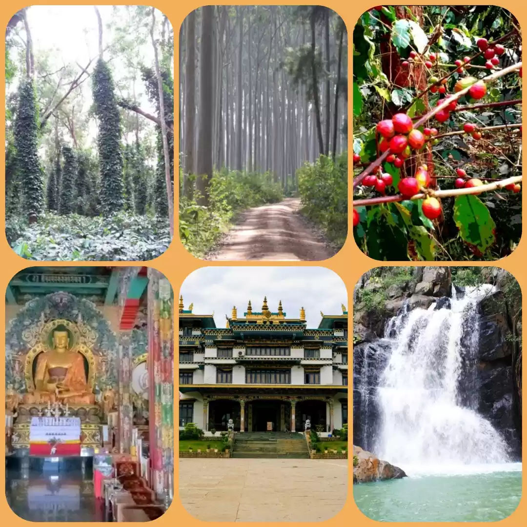 Photo of The Gems of India(OD