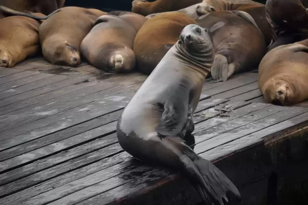 Photo of How to plan a day in