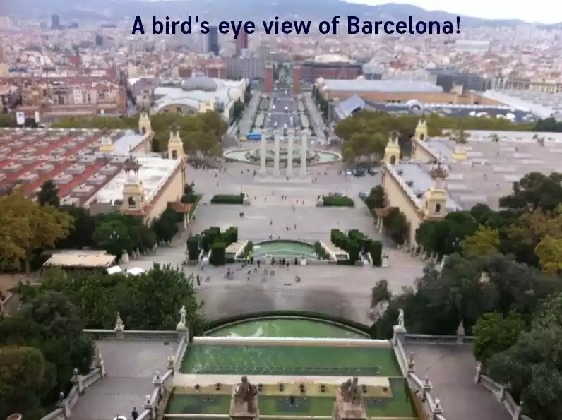 Photo of Spain, Netherlands, 