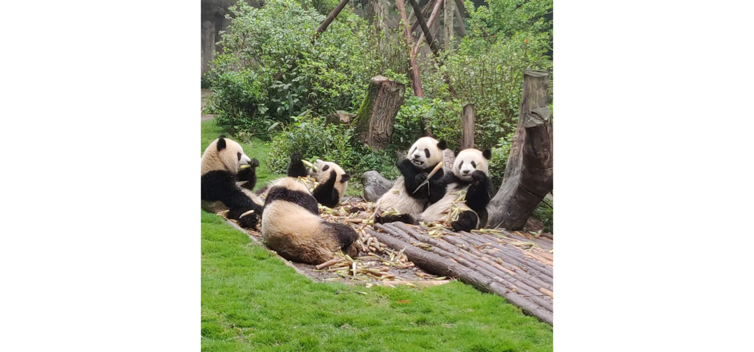 Photo of Discovering China -