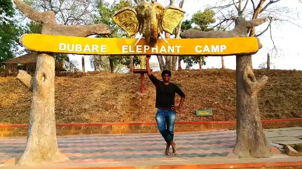 Photo of Got bored, check out