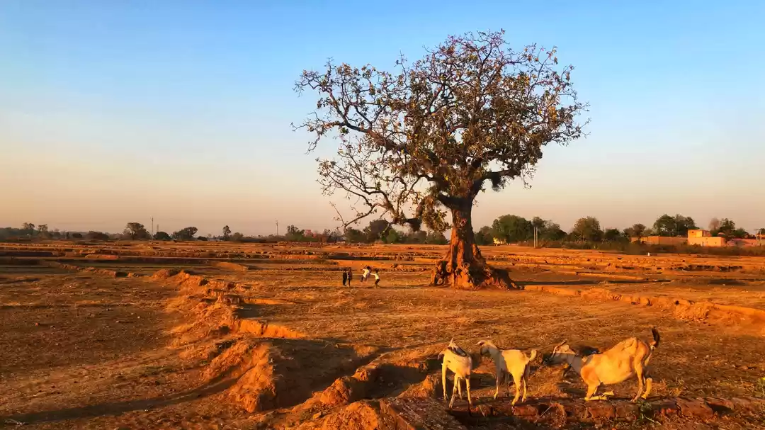 Photo of Read this, if you ar