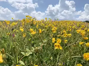 Photo of Weekend gateway to K