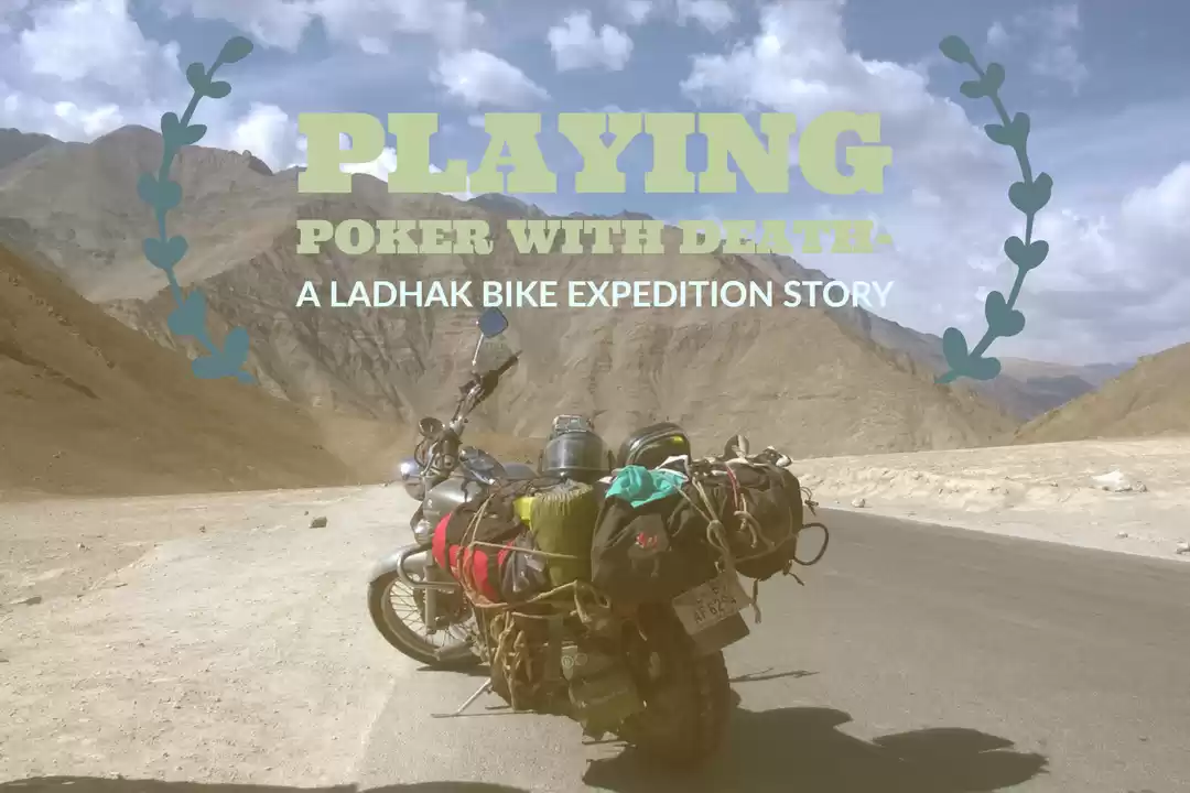 Photo of Playing Poker With D