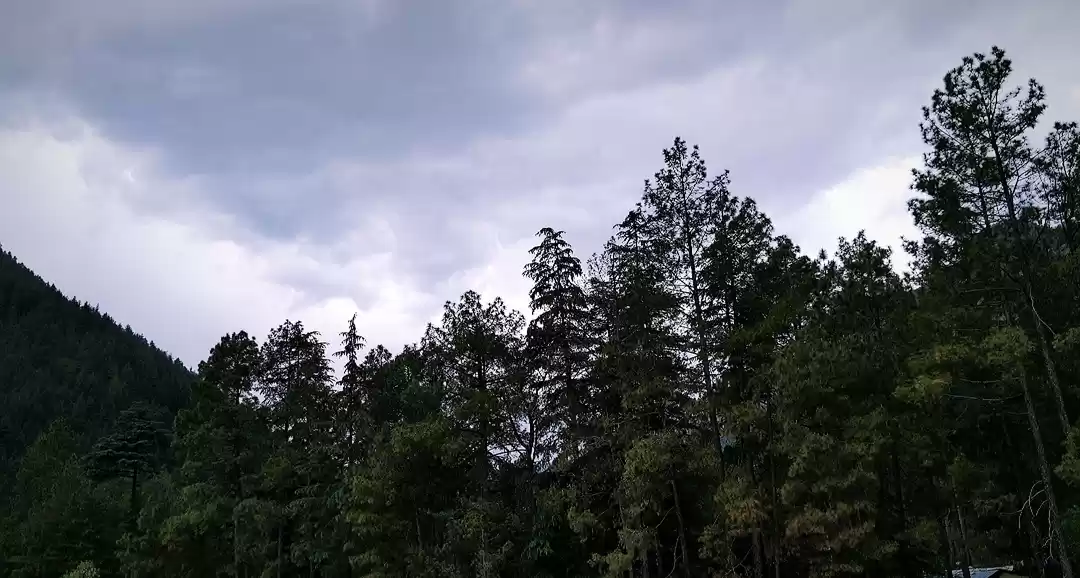 Photo of Himachal in a nutshe