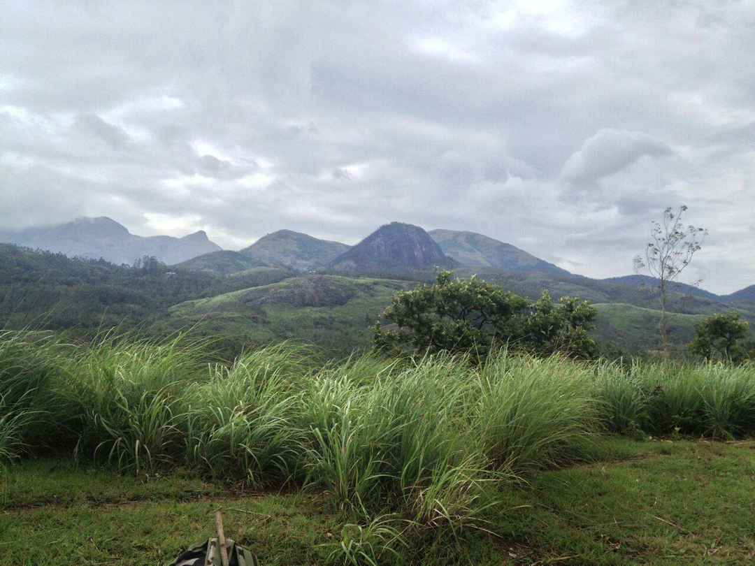 Photo of The Meesapulimala Trek