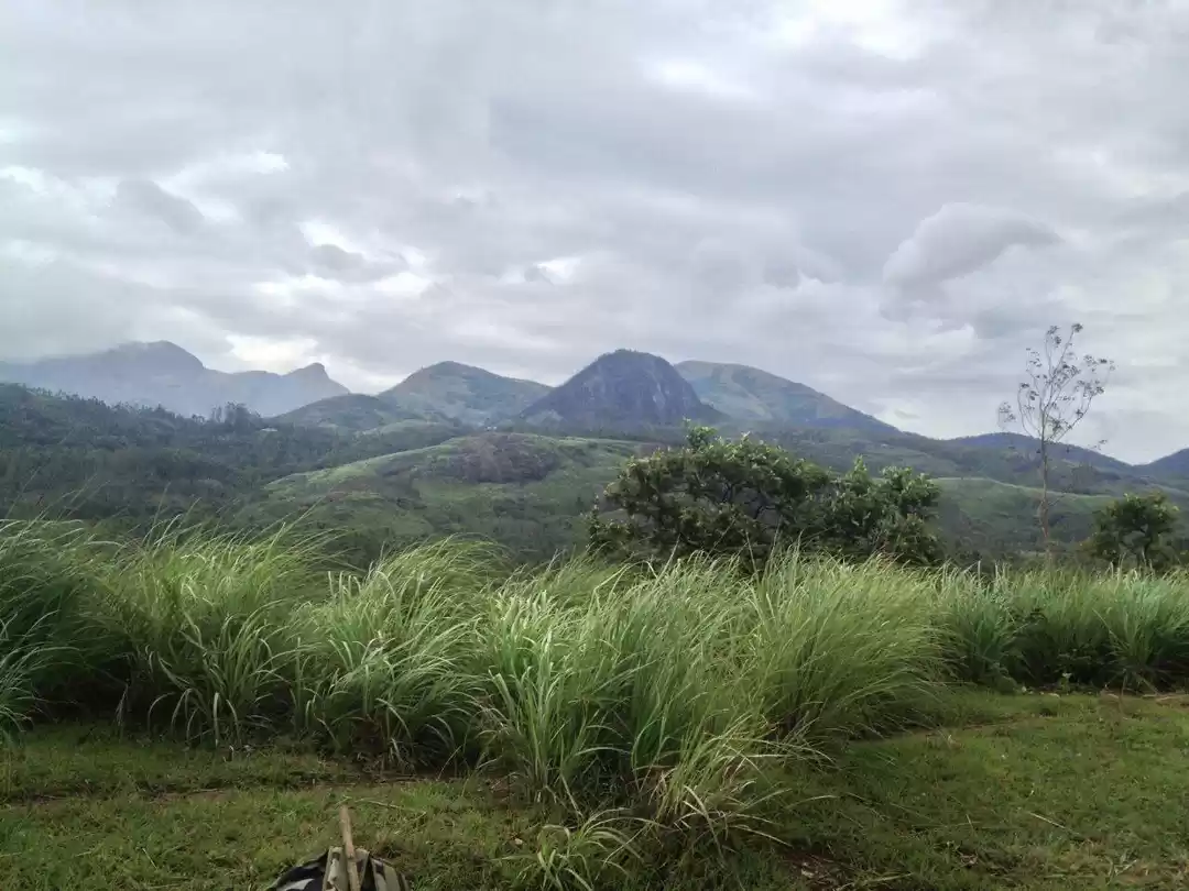 Photo of The Meesapulimala Tr