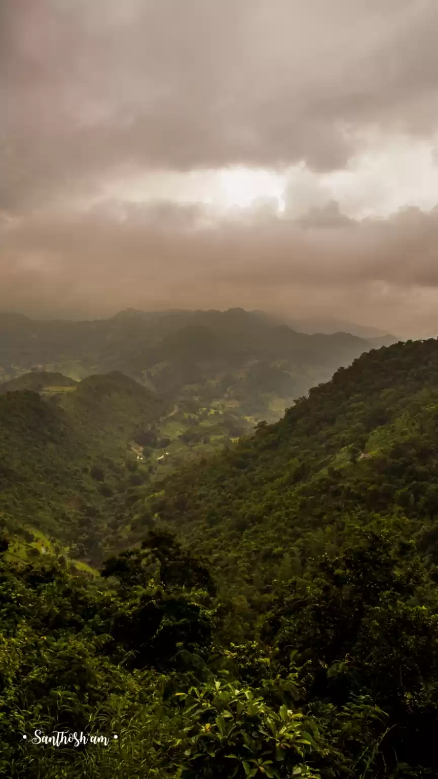 Photo of Araku Diaries