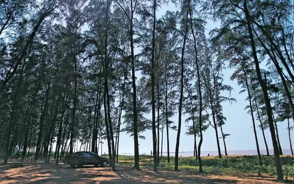 Photo of Hidden Gems: A case 