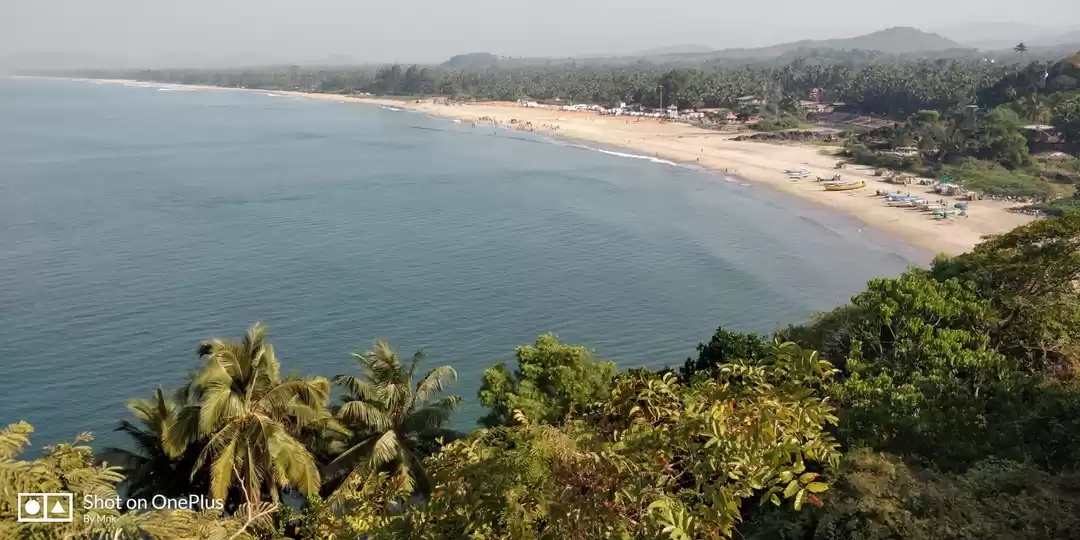 Photo of How can you save whi