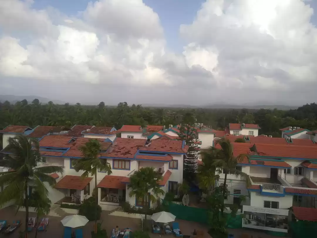 Photo of Went to get lost, in