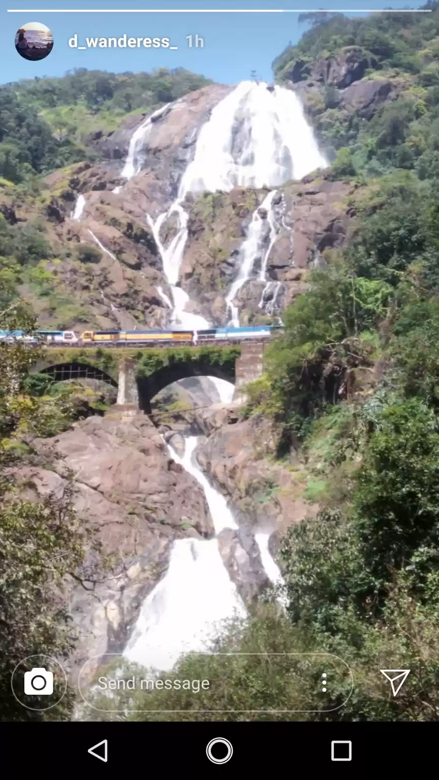 Photo of Went to get lost, in