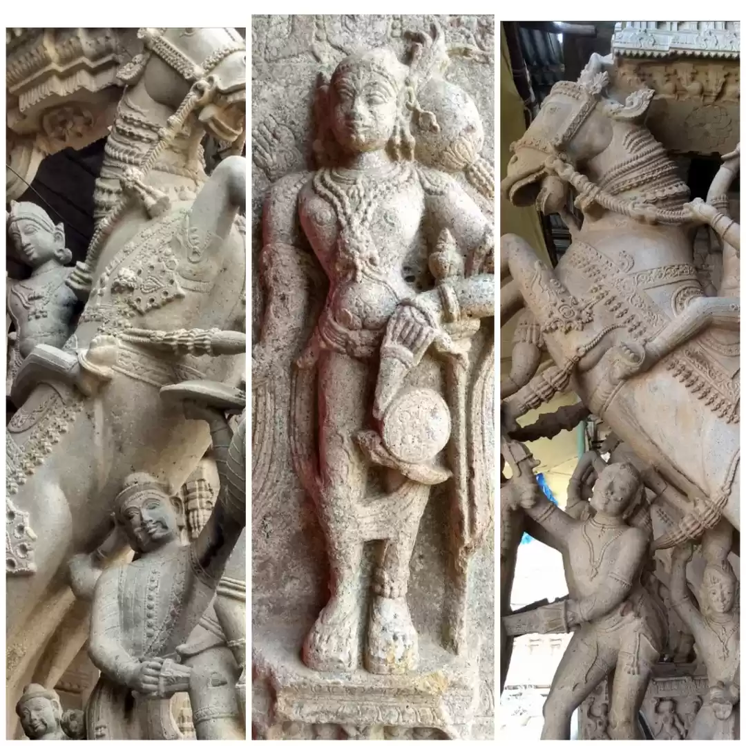 Photo of 1000 year Old Mummy 