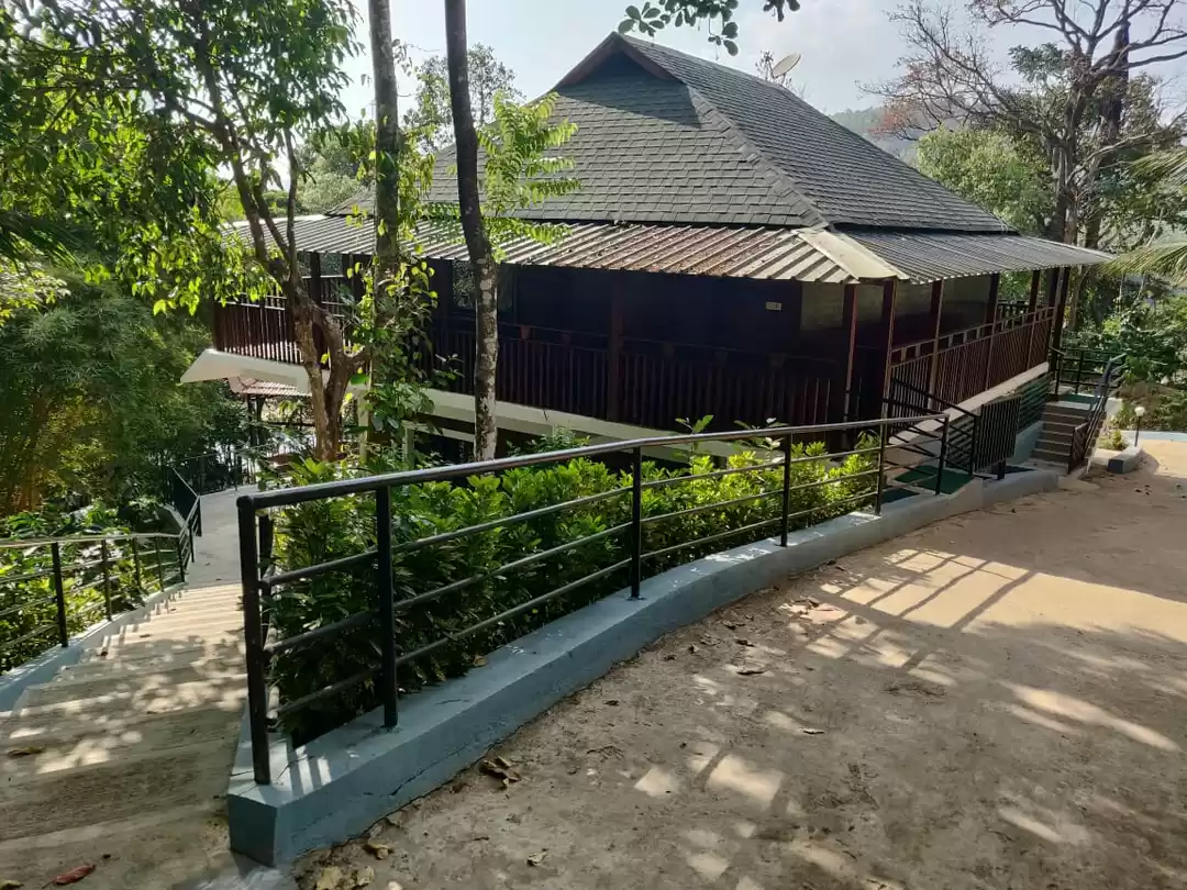 Photo of Alert! A ladies week