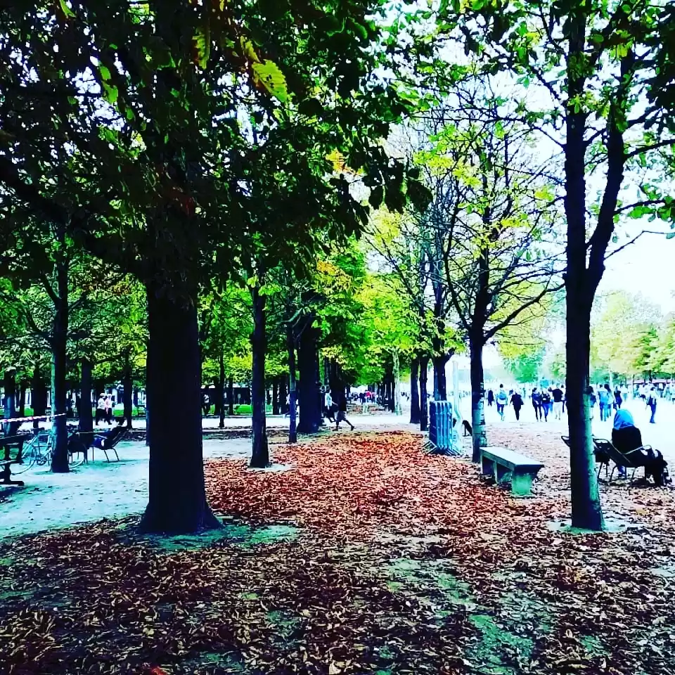 Photo of My First ever Eurotr