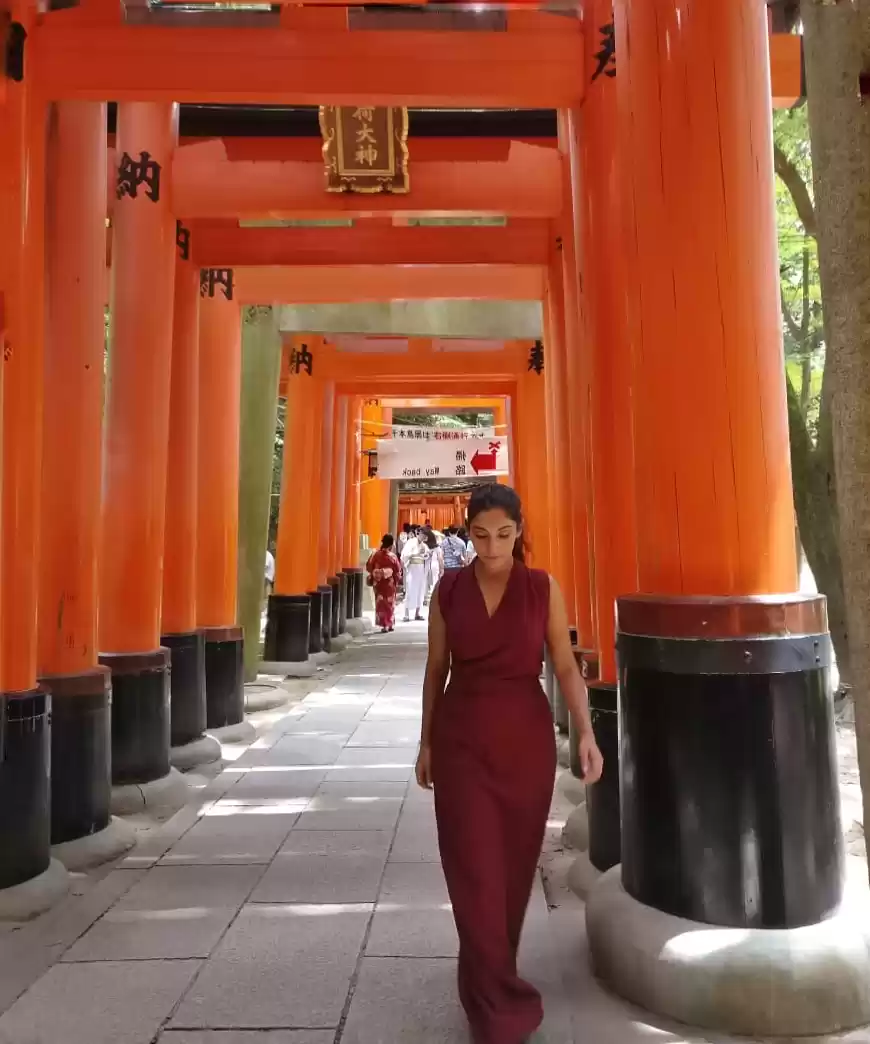 Photo of JAPAN - Dream Visit!