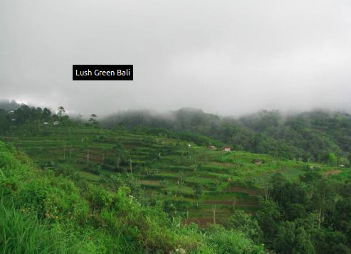 Photo of Beautiful Bali