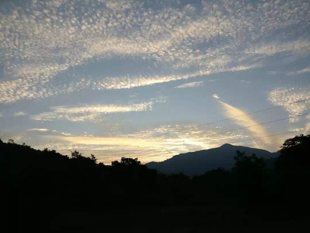 Photo of Kolad it is!!