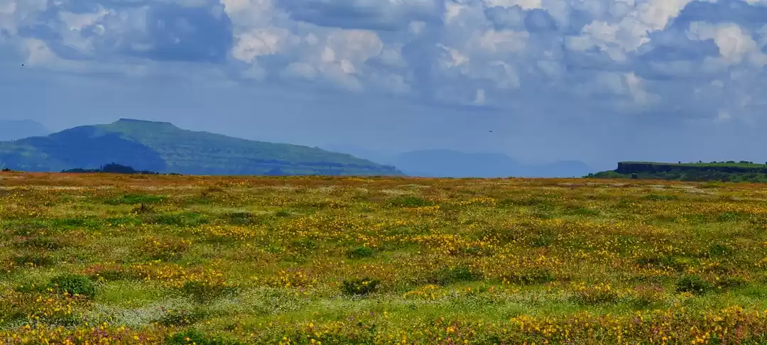 Photo of Kaas plateau-The val