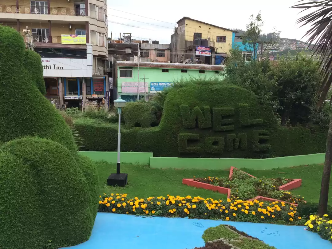 Photo of OOTY - Queen of Hill