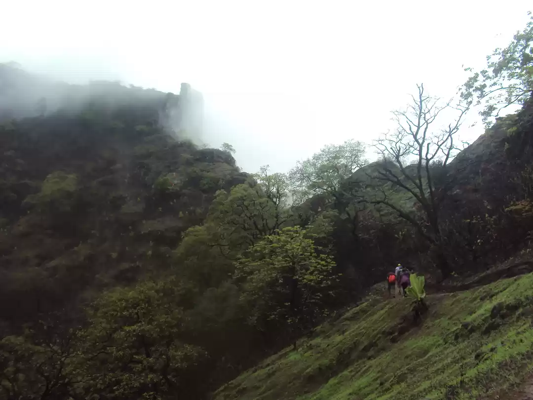 Photo of Trek to Mahuli