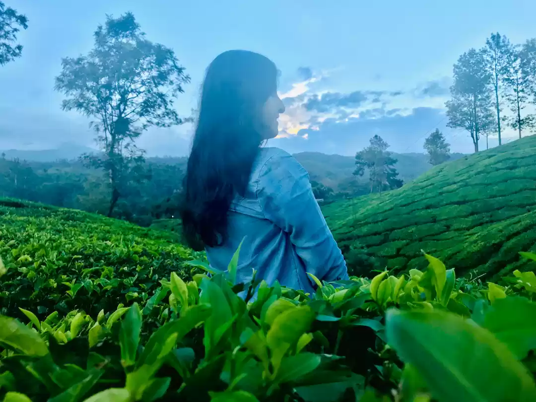 Photo of Traveling- It makes 