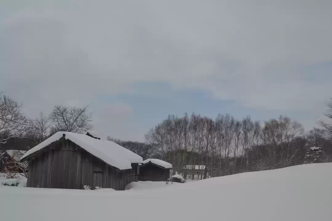 Photo of Sapporo Snow Festiva