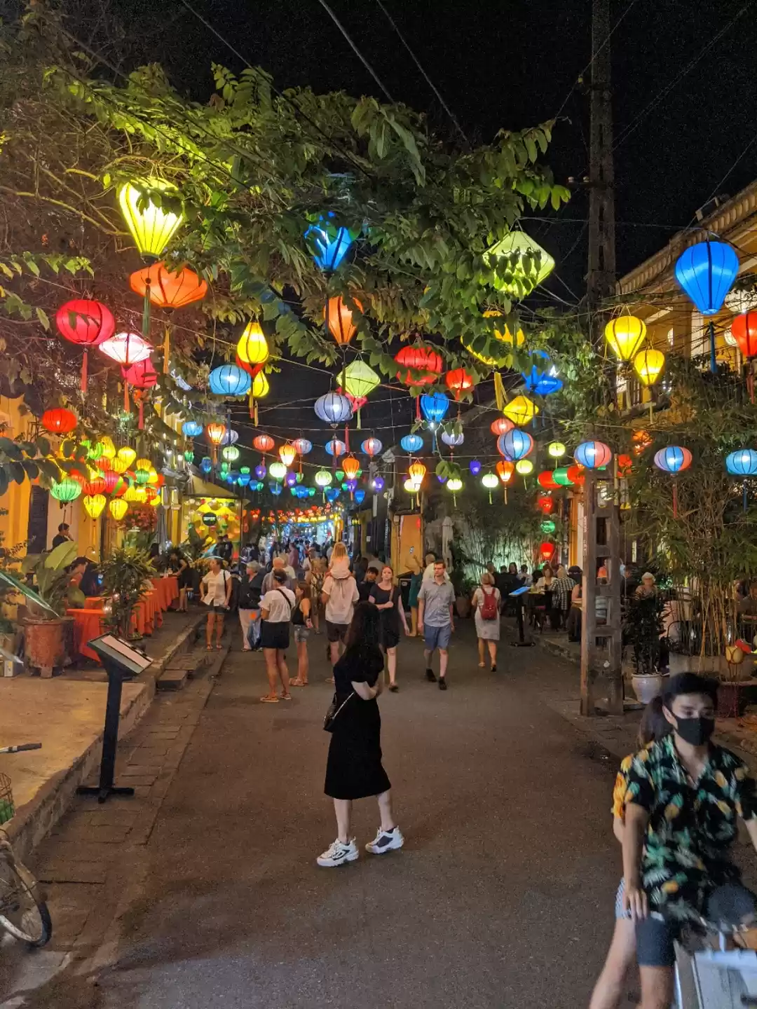 Photo of 7 Days in Vietnam on