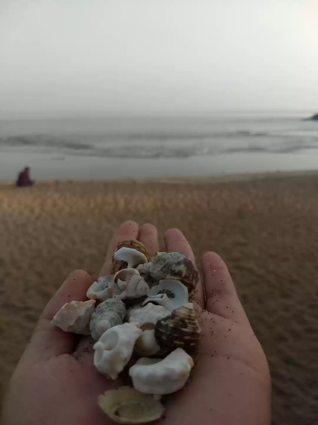 Photo of Diu at the Coast#Bes
